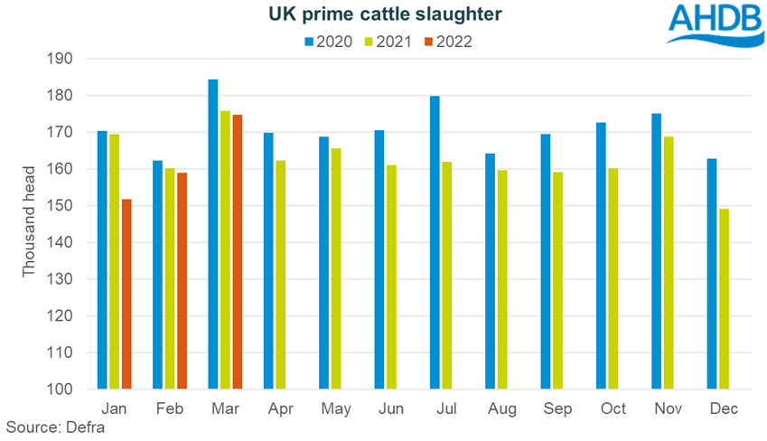 Graph showing monthly UK prime cattle kill, January to March 2022